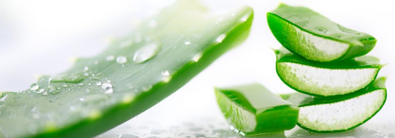 Aloe vera et santé masculine : prudence