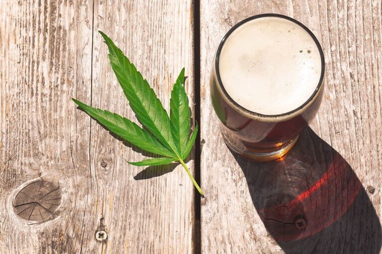 cbd et alcool